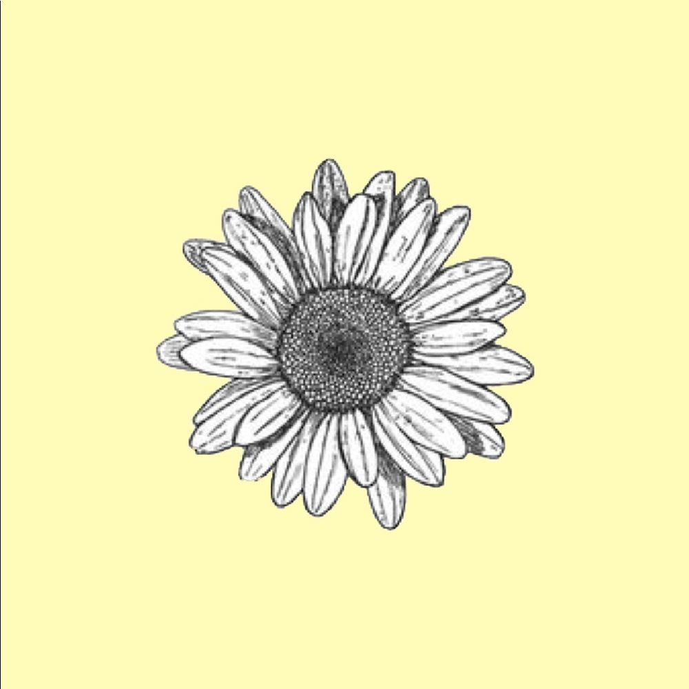 Meet your Posher, Lexi